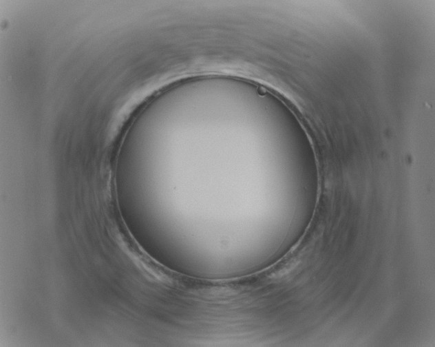 X0000073931507200609011821