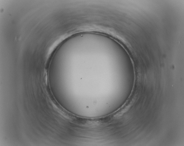 X0000073931509200609011821