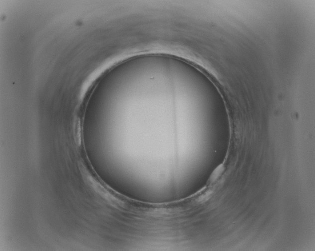 X0000073931510200609011821