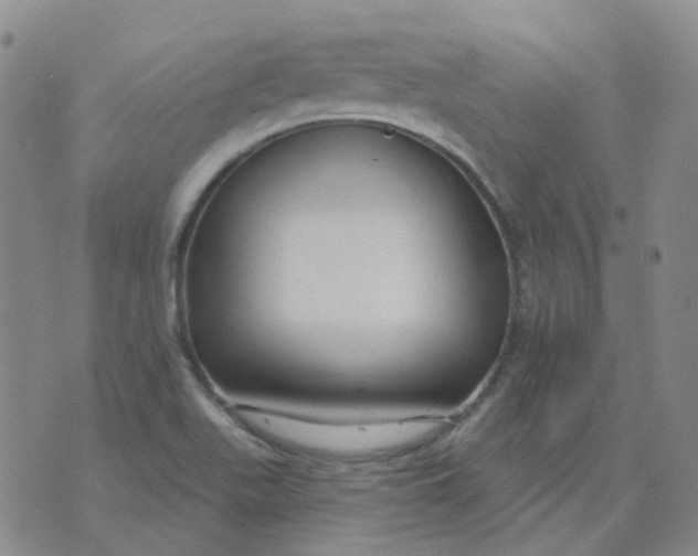 X0000073931511200609011821