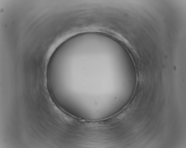 X0000073931512200609011821