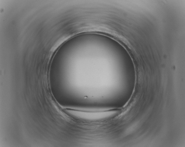 X0000073931513200609011821