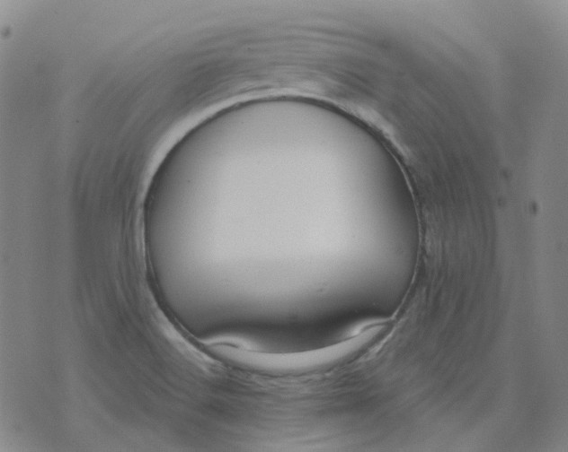 X0000073931516200609011821