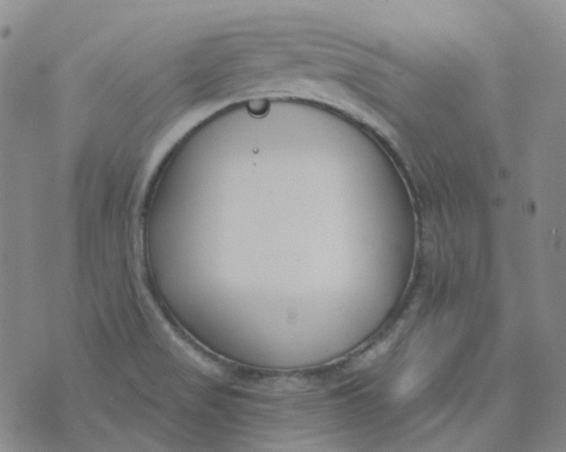 X0000073931517200609011821