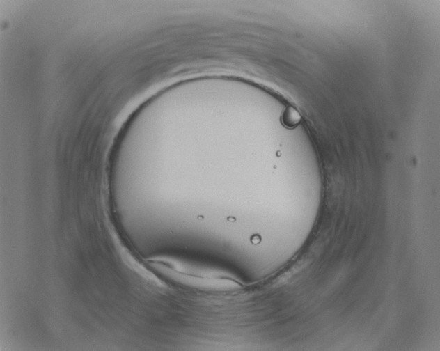 X0000073931518200609011821