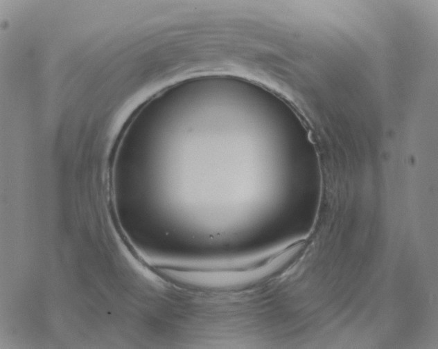 X0000073931519200609011821