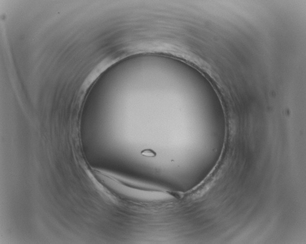 X0000073931521200609011821