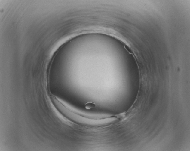 X0000073931523200609011821