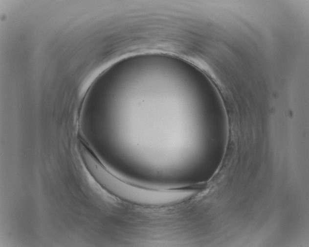 X0000073931524200609011821