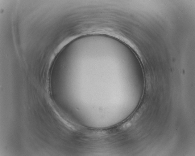 X0000073931525200609011821