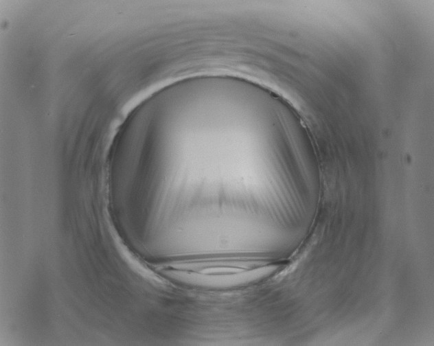 X0000073931526200609011821