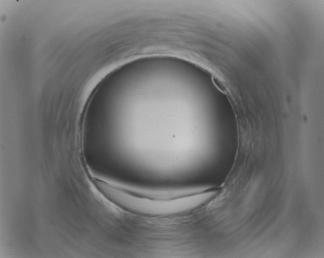 X0000073931527200609011821