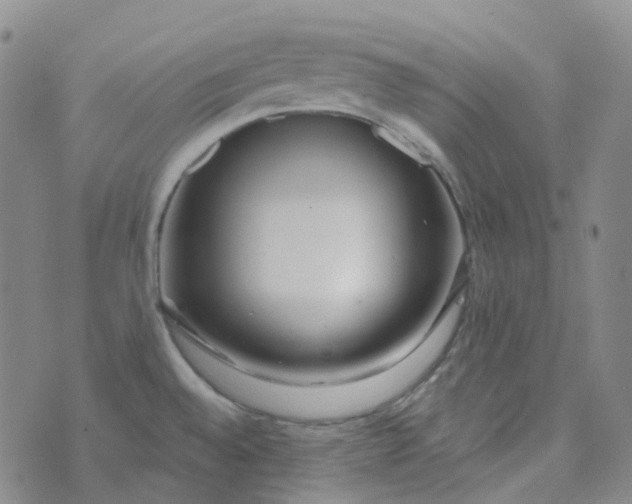 X0000073931528200609011821