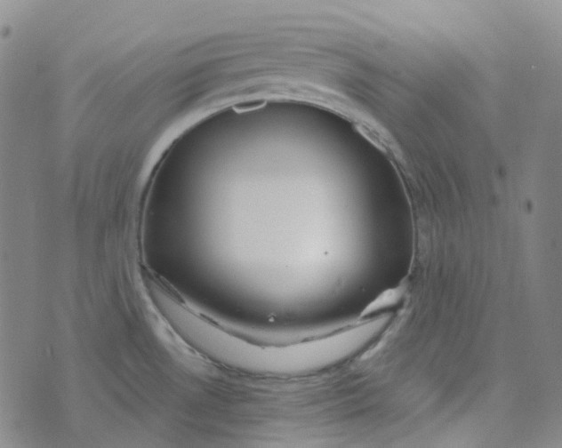 X0000073931530200609011822