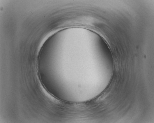 X0000073931531200609011822