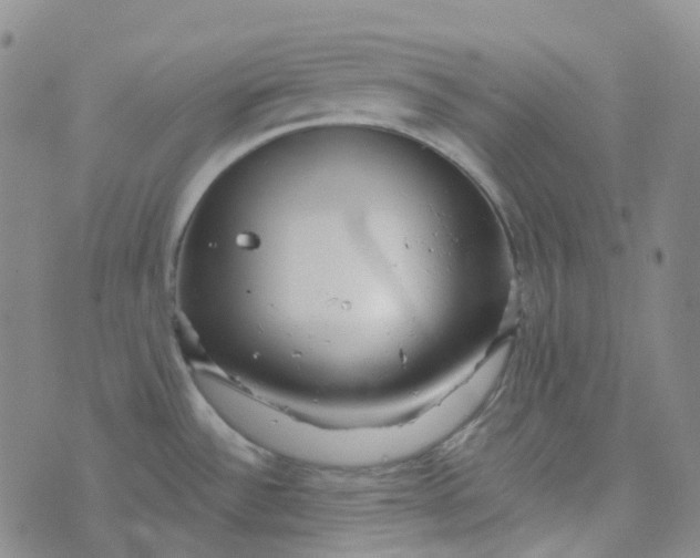 X0000073931532200609011822