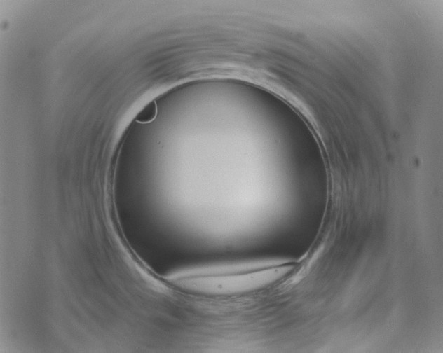 X0000073931533200609011822