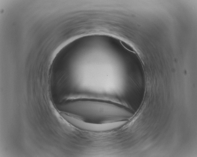 X0000073931534200609011822