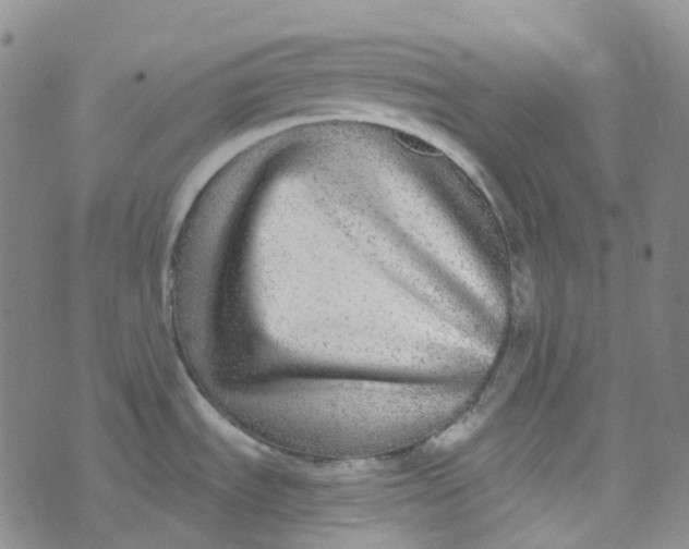 X0000073931535200609011822