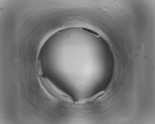 X0000073931536200609011822