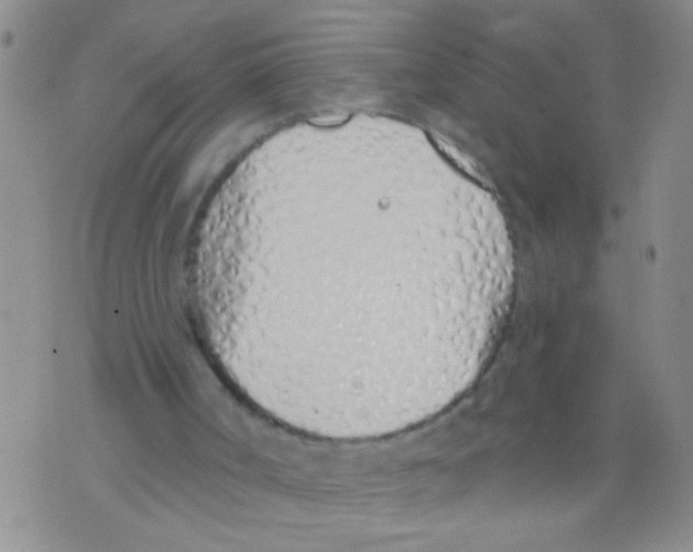 X0000073930002200609082314