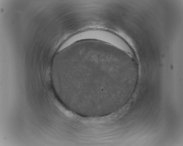 X0000073930009200609082314