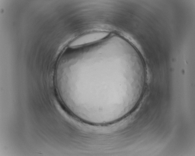 X0000073930010200609082314