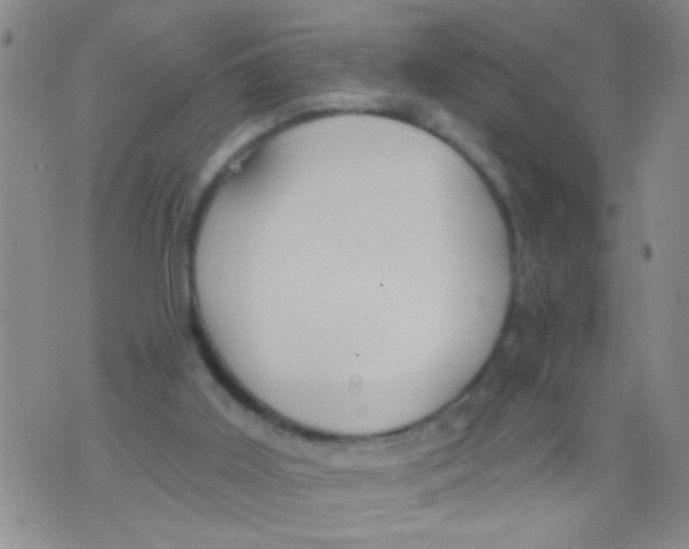 X0000073930011200609082314