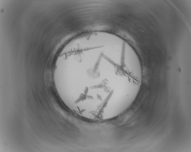 X0000073930012200609082314