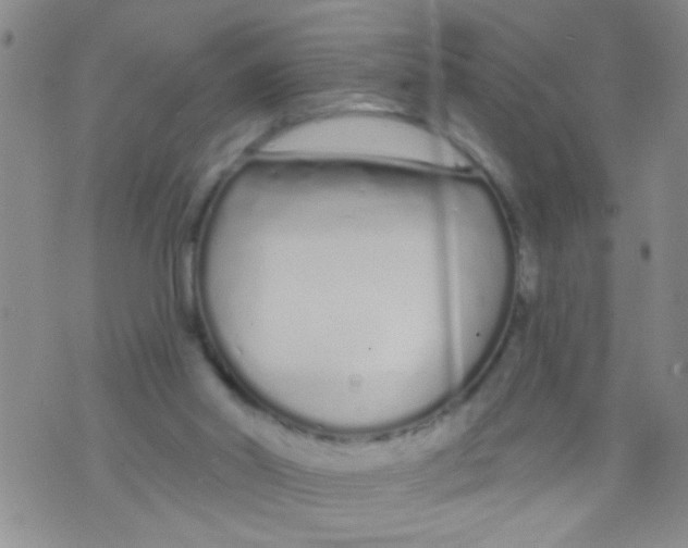 X0000073930014200609082314