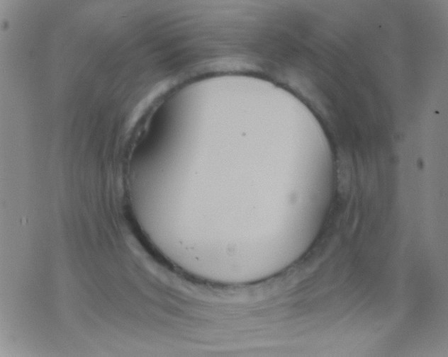 X0000073930015200609082314