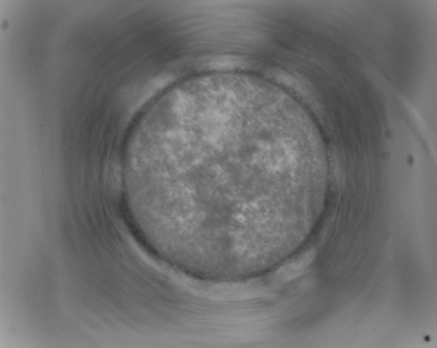 X0000073930016200609082314