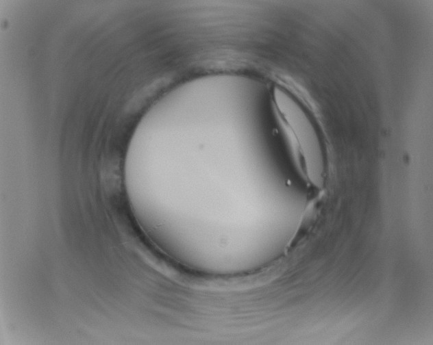 X0000073930017200609082314