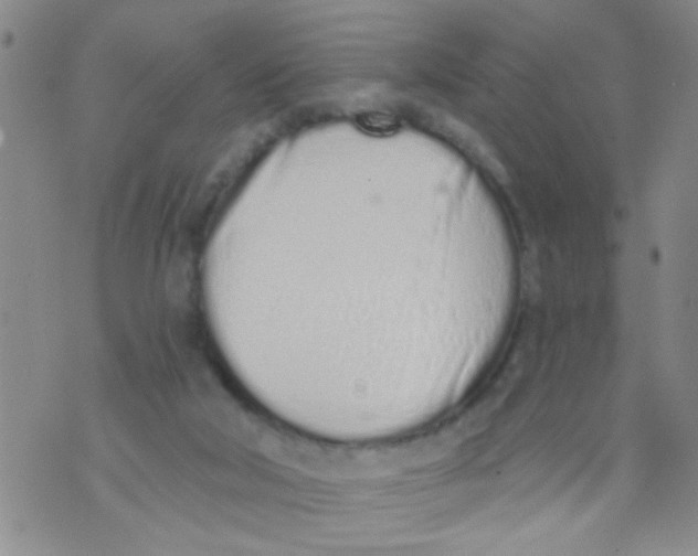 X0000073930018200609082314