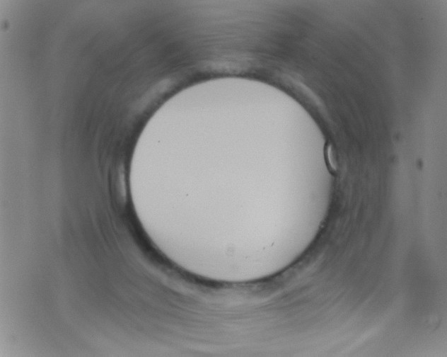 X0000073930020200609082314