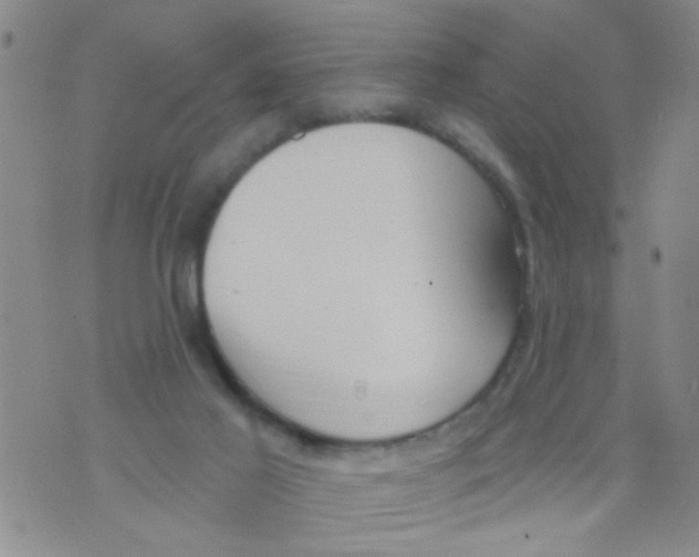 X0000073930021200609082314