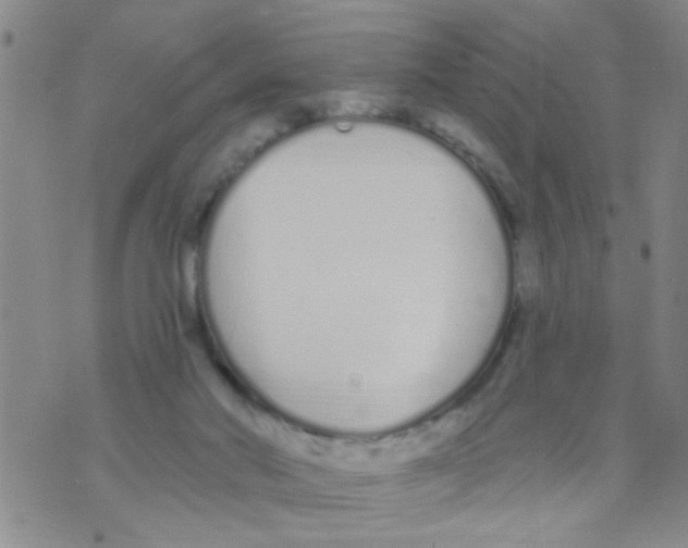 X0000073930022200609082314