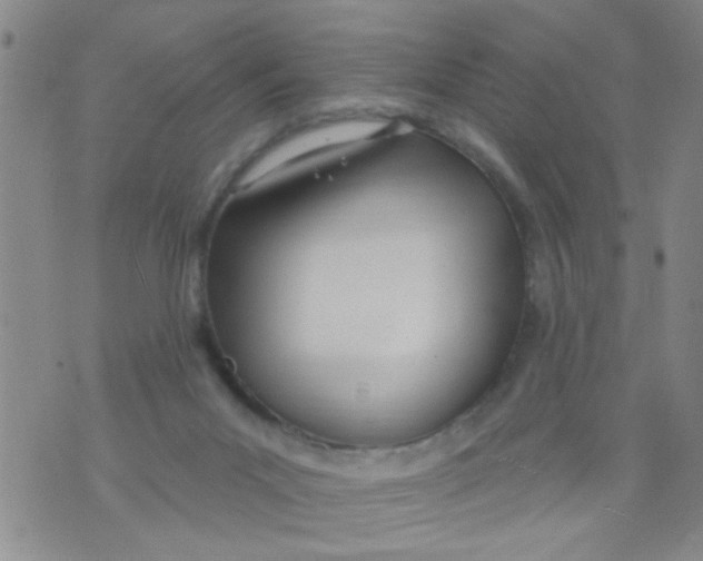 X0000073930023200609082314