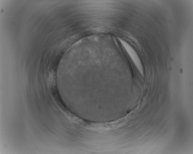 X0000073930029200609082314