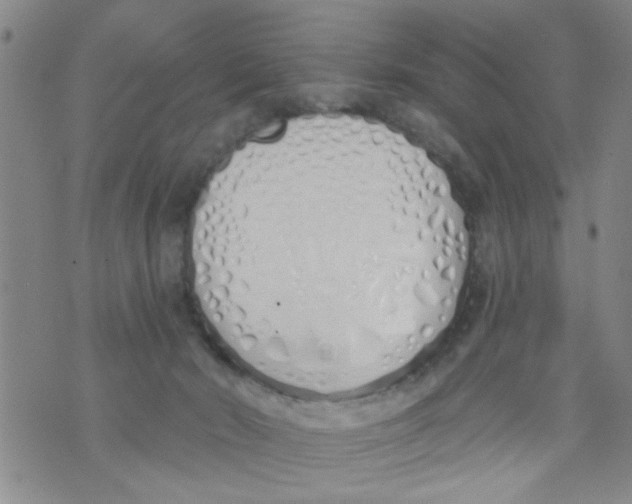 X0000073930030200609082314