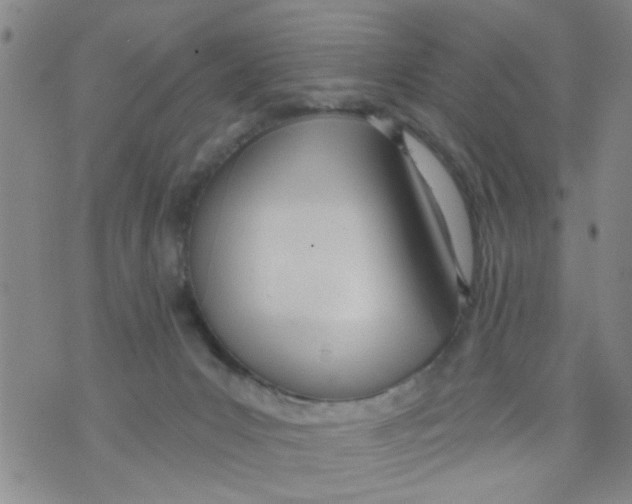 X0000073930031200609082314