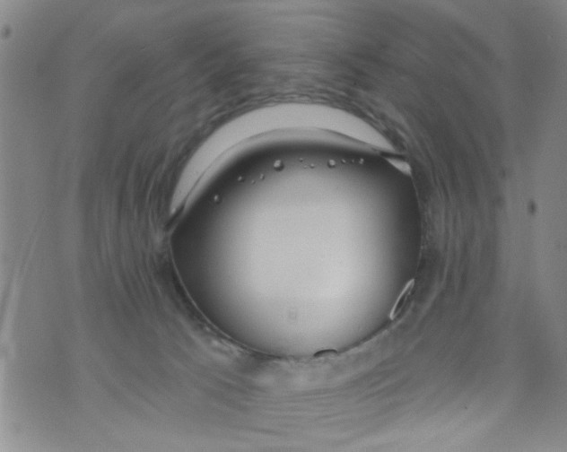 X0000073930033200609082314