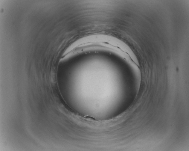 X0000073930035200609082314