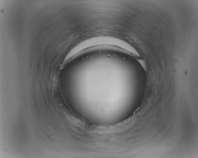 X0000073930037200609082314