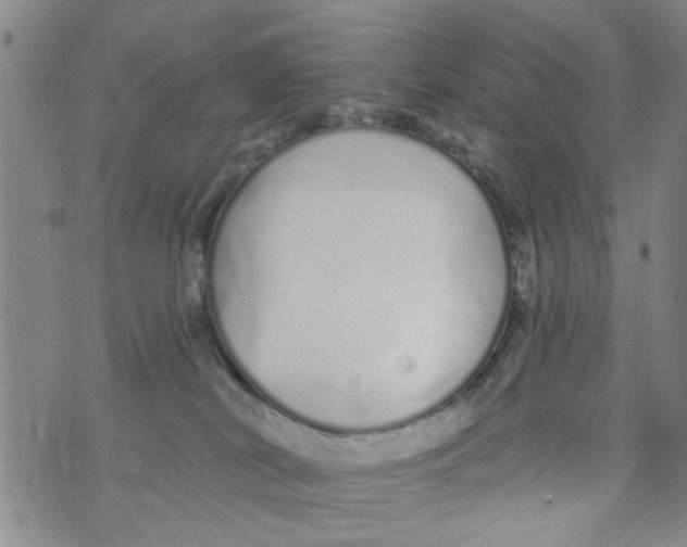 X0000073930038200609082314