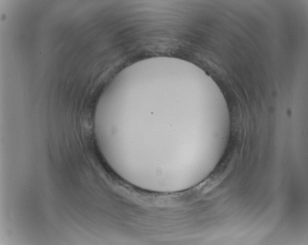 X0000073930040200609082314