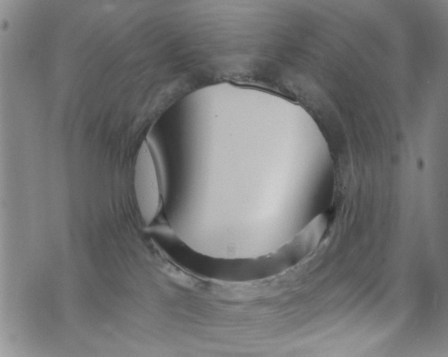 X0000073930041200609082314