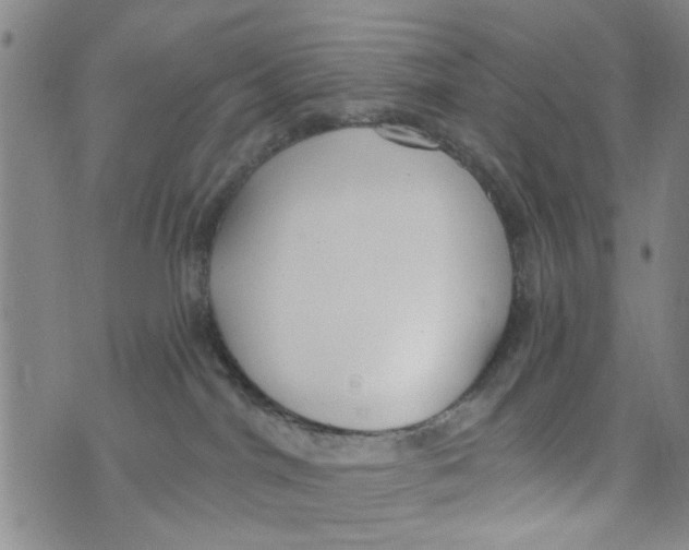 X0000073930044200609082314