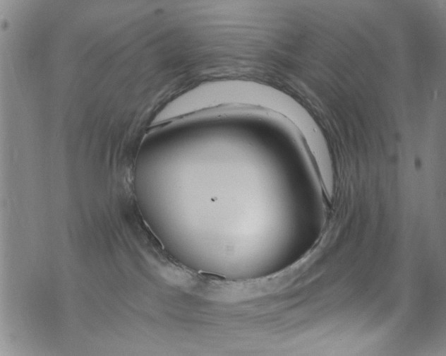 X0000073930045200609082314