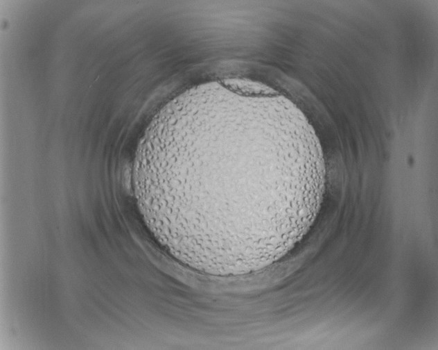 X0000073930046200609082314